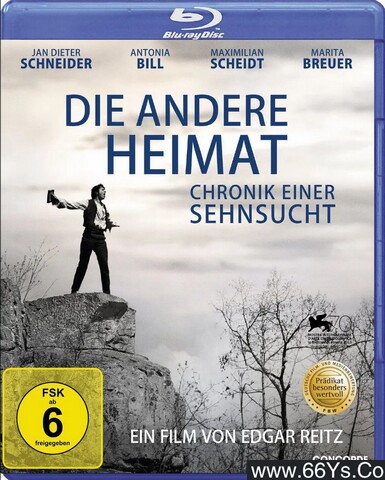 2013年德国8.6分剧情片《另一个故乡》1080P德语中德双字