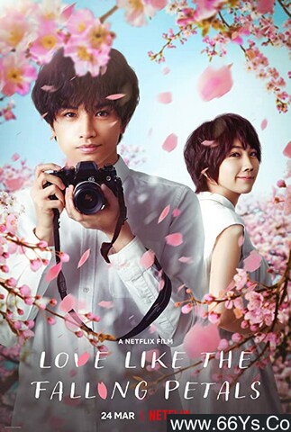 2022年日本爱情剧情片《我的樱花恋人》1080p日语中字