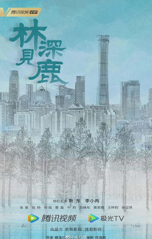 2022年靳东,李小冉电视剧《林深见鹿》全40集