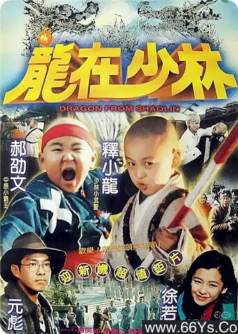 1996年释小龙,郝邵文6.9分喜剧片《龙在少林》4K高清国语中字