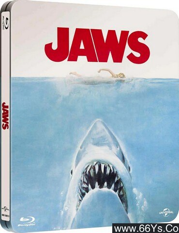 1975年美国8.1分惊悚剧情片《大白鲨》1080P国英双语