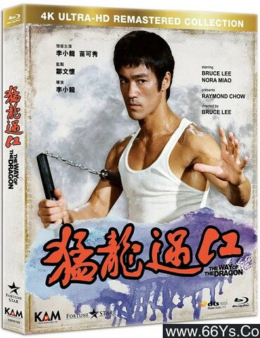 1972年李小龙,元彪8.4分动作片《猛龙过江》1080P国粤英三语