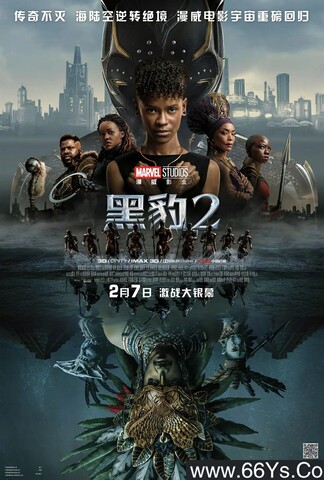 2022年美国7.2分动作科幻片《黑豹2》1080P中英双字