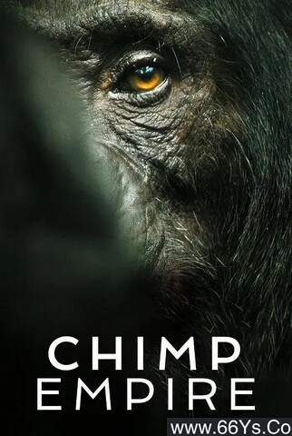 2023年英国纪录片《黑猩猩帝国》全集打包磁力链下载