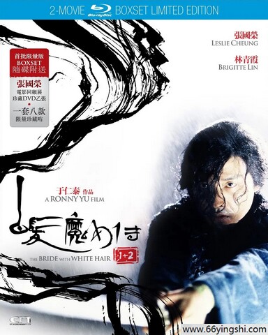 1993年林青霞,陈锦鸿动作奇幻《白发魔女2》1080P国粤双语