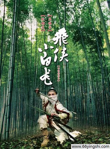 2004年张柏芝,吴镇宇动作喜剧《飞侠小白龙》1080P中字