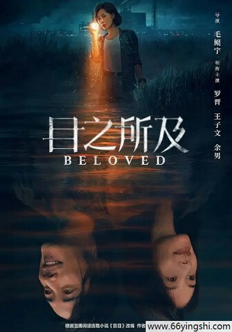2025年罗晋,王子文电视剧《目之所及》更新至04集