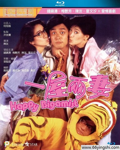 1987年陈友,梅艳芳6.5分喜剧片《一屋两妻》1080P国粤双语