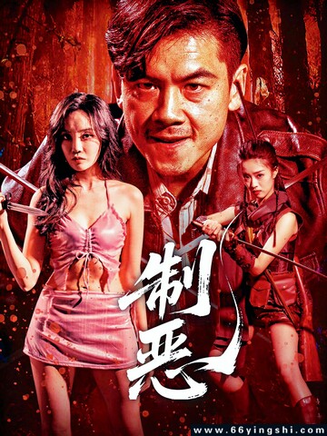 2025年郭美林子,王辉动作剧情《制恶》1080P国语中字