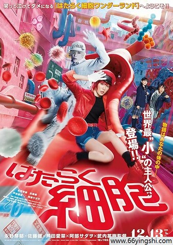 2024年日本7.4分奇幻剧情《工作细胞 真人版》1080P国日双语